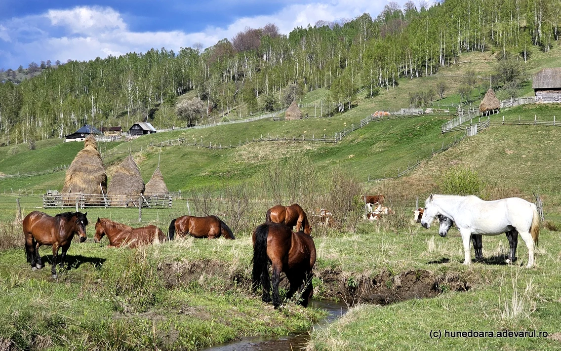 Fundătura Ponorului Foto: Daniel Guță adevărul.ro 
