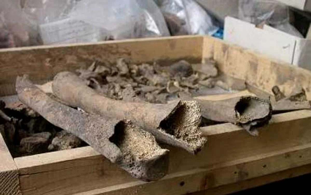 Oasele unei femei descoperite la Tărtăria în cadrul culturii Vinca FOTO prehistory.it