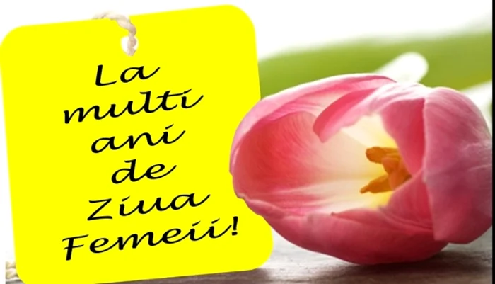 De 8 Martie, femeile primesc flori, felicitări și cadouri