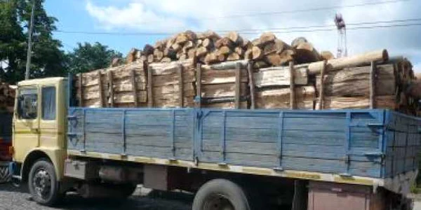 Pitesti: Camioane încărcate cu lemne furate, oprite de poliţişti