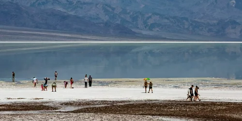 Screenshot 2025 12 13 180047 jpg