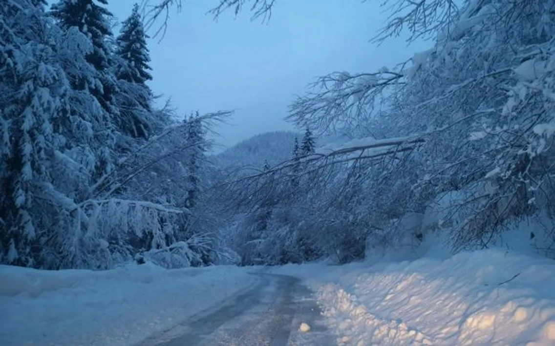 Zăpadă pe DN 7 A Foto FB Fery e de vină 