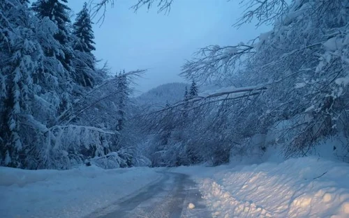 Zăpadă pe DN 7 A Foto FB Fery e de vină