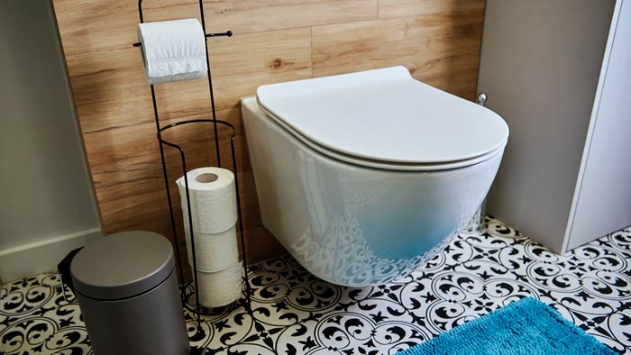 Există metode simple, rapide și eficiente de a dezinfeca toaleta imediat /foto: arhiva
