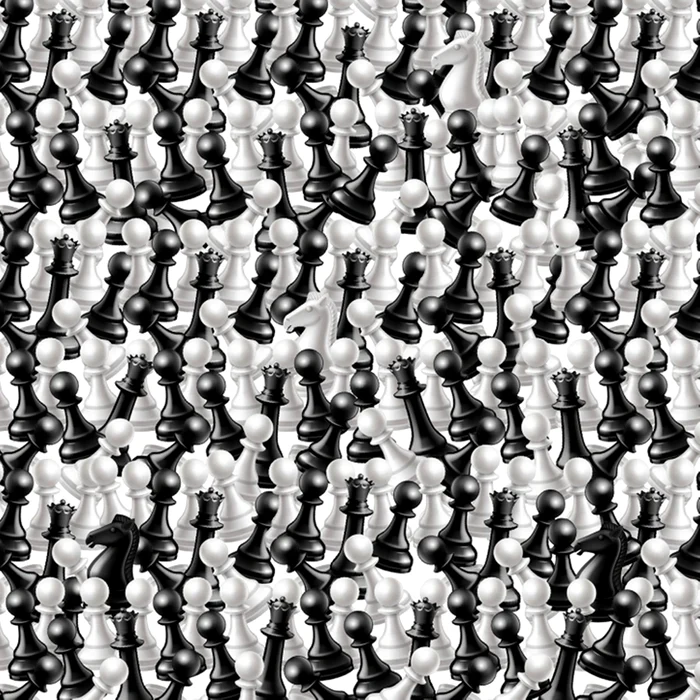 Unde se află caii din imagine