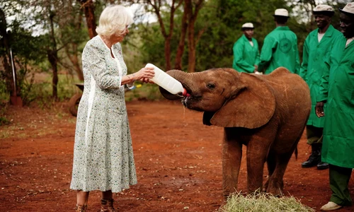 Regina Camilla în Kenya, Getty (1) jpg