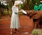 Regina Camilla în Kenya, Getty