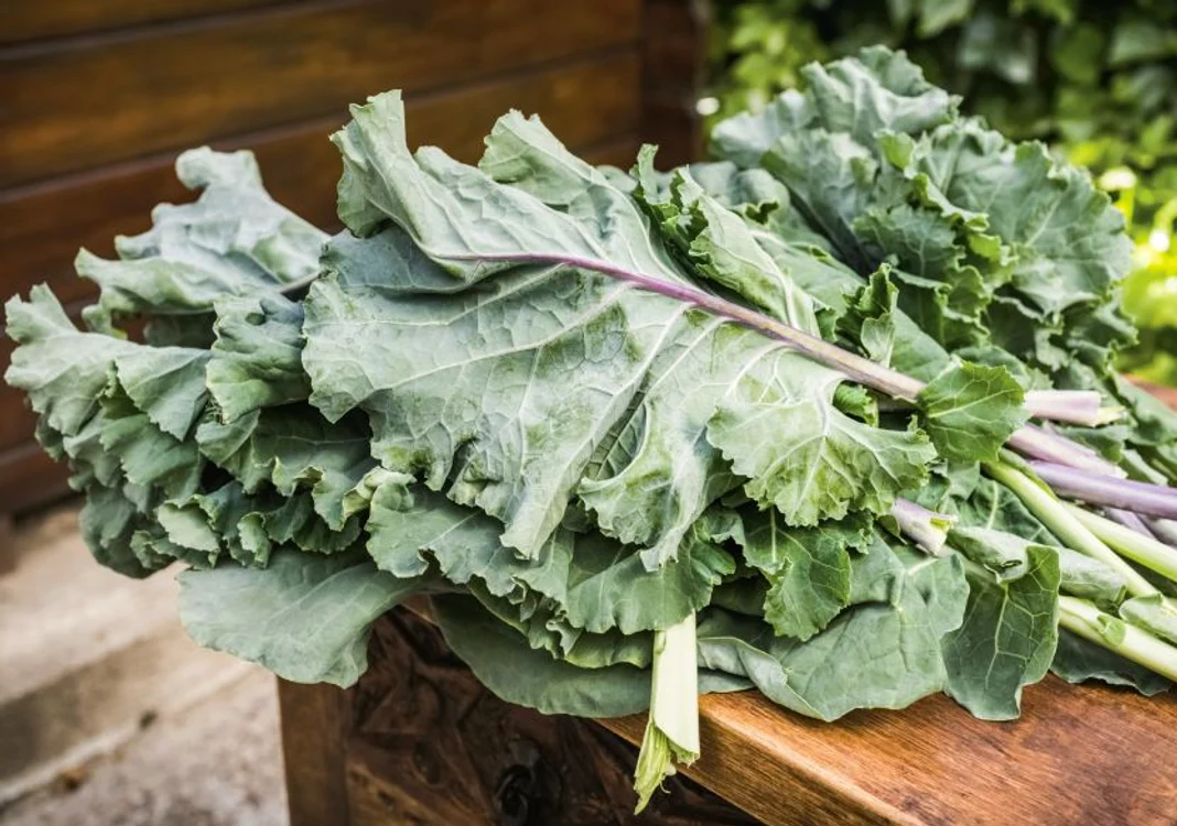 Kale