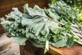 kale jpg