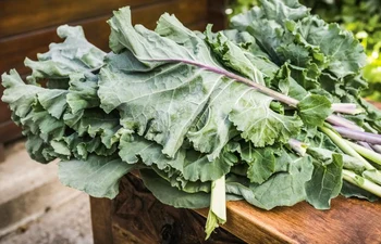 kale jpg