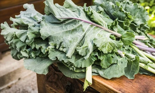kale jpg