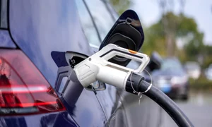 alimentare, foto shutterstock jpg