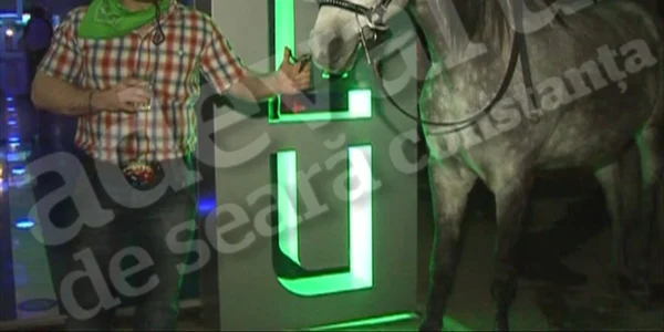 Petrecăreţii au adus cai în club