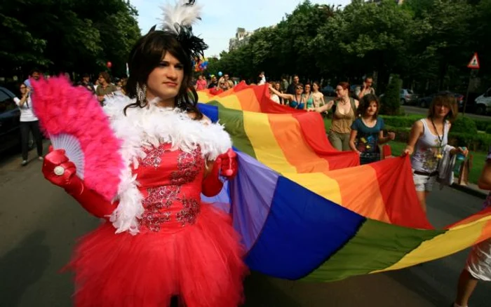 
    Membrii comunităţii gay pledează pentru nediscriminare în România  