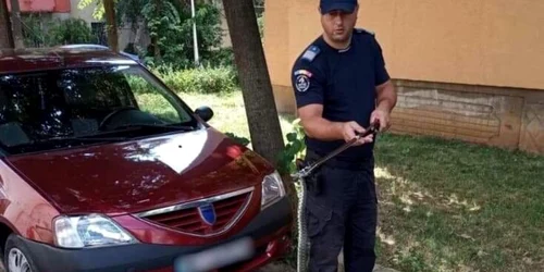 sarpe in masina FOTO IJJ Mehedinti 