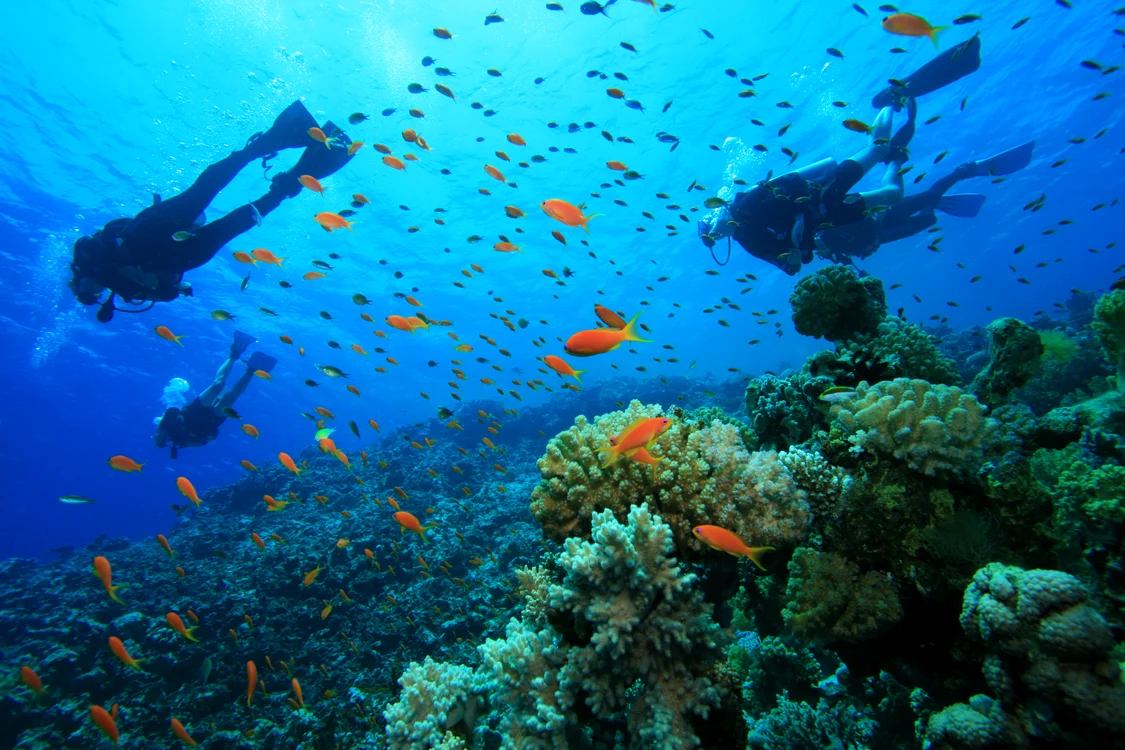 
    Insula Zakynthos  