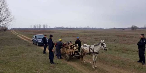 furt lemne mehedinti FOTO IJJ Mehedinti 