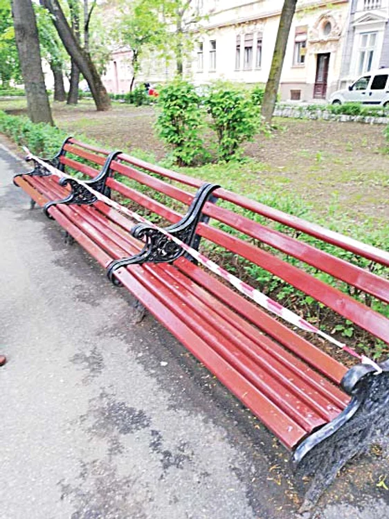 Băncile au fost revopsite