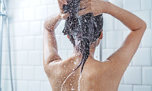 1 dus foto shutterstock 1109393903x jpeg