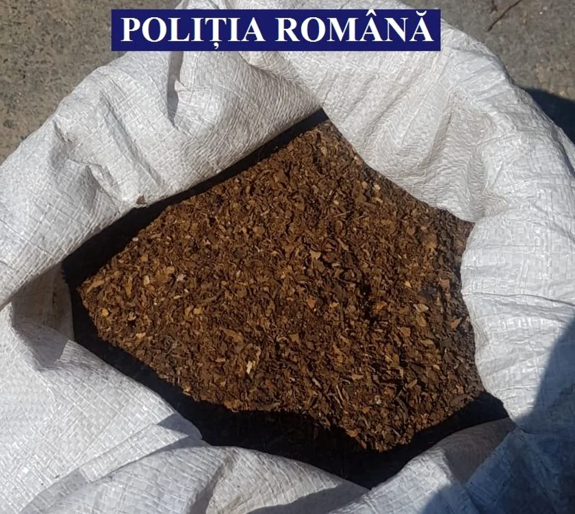 Marfa a fost confiscată FOTO IPJ Călăraşi