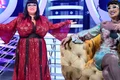 banner ozana barabancea jpg