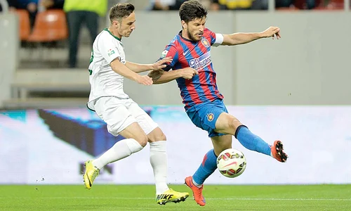 16 sport steaua jpeg