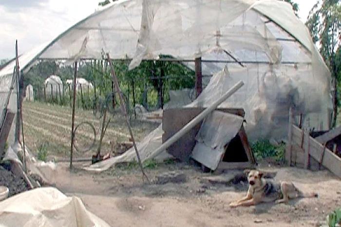 Alertă de inundaţii  în Moldova (Foto: viata-libera.ro)