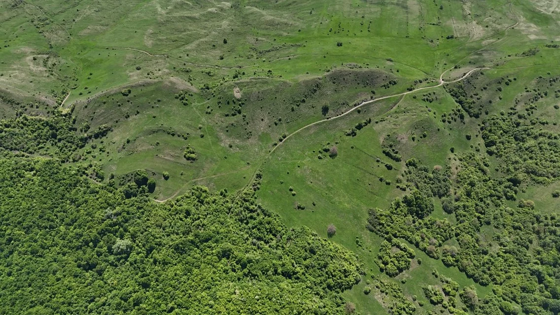Cercetări arheologice reluate după mai bine de două decenii în situl de la Năeni (© Muzeul Județean Buzău)