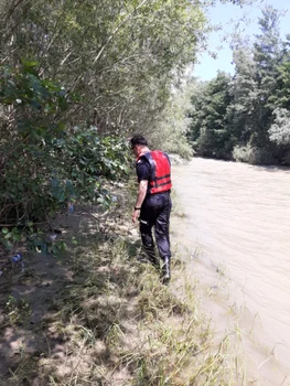buzaudisparautacautaripompieribarcarau
