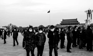 Veşti bune dintr un an rău jpeg