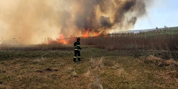 incendiu vegetatie vaslui