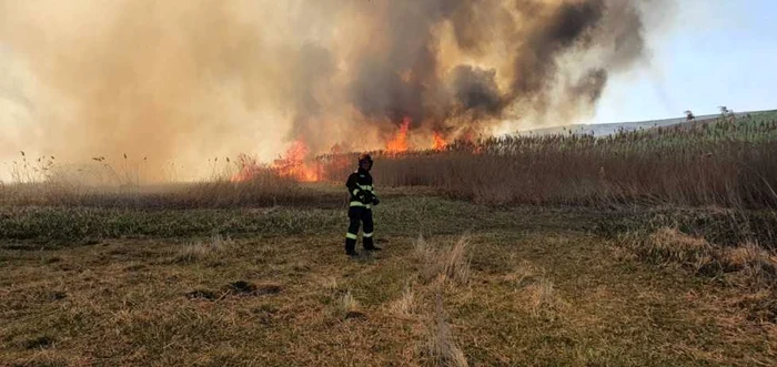 Foto: arhivă Adevărul