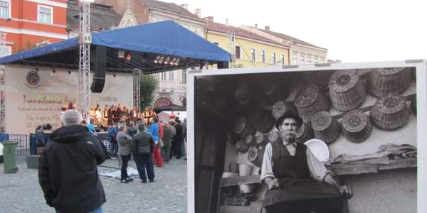 transilvania fest cluj