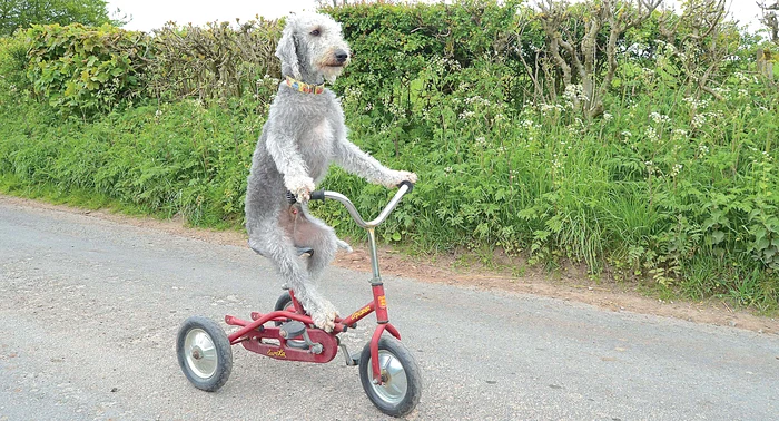 
    Foto: Guliver, Rexfeatures  