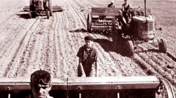 Cum se muncea în agricultură înainte de 1989 FOTO TVR