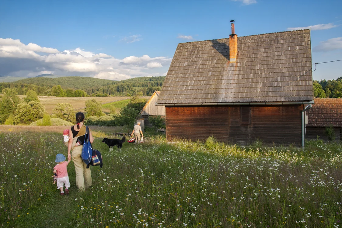 
    Sursă foto: Shutterstock  
