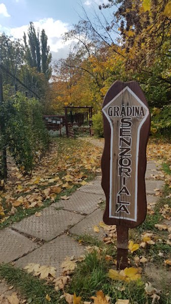 Grădina Senzorială unică în România. Toate simțurile sunt activate într-un mod inedit VIDEO