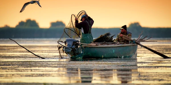 pescari delta