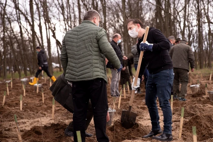 Cîţu planteaza copaci. Foto