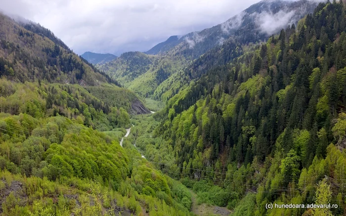 Drumul din munți se strecoară pe valea Râului Mare. Foto: Daniel Guță