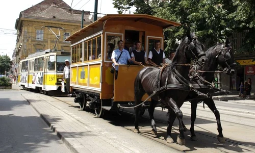 Du m acasă, măi tramvai! O poveste pitorească jpeg