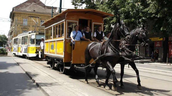 Du m acasă, măi tramvai! O poveste pitorească jpeg