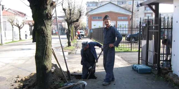 Muncitorii au de înlocuit 40 de stâlpi de beton