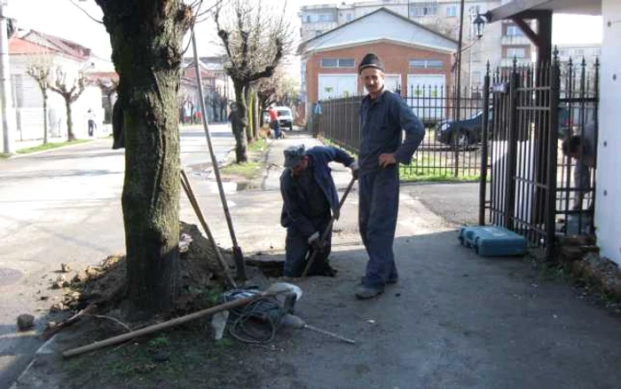 Muncitorii au de înlocuit 40 de stâlpi de beton