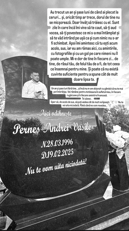 Postarea Andradei Perneș. Foto: social media