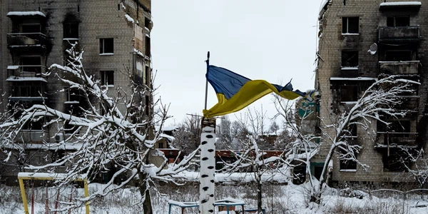 Drapel ucraina kiev iarna cartier borodianka shutterstock 2261202667 jpg