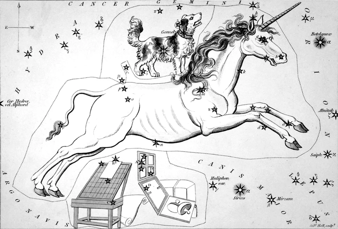 Zodii pe cale de apariţie jpeg