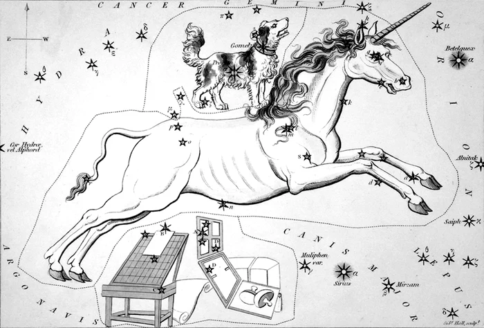 Zodii pe cale de apariţie jpeg