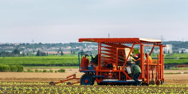 Agricultura Spania FOTO Shutterstock