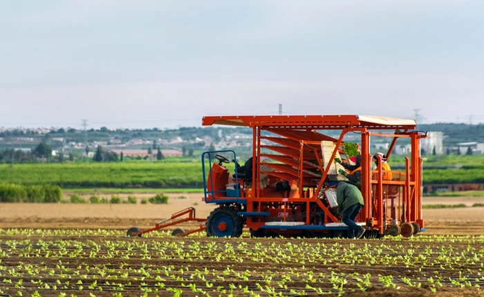 Agricultura Spania FOTO Shutterstock